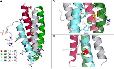 pH-Induced Local Unfolding of the Phl p 6 Pollen Allergen From cpH-MD